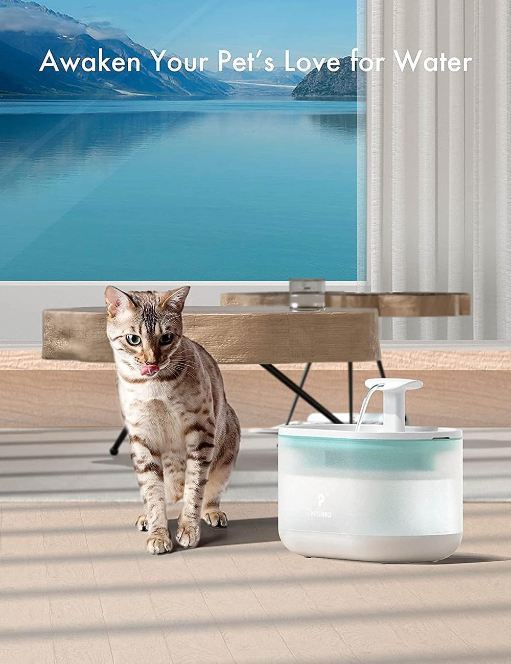 PETLIBRO pompe-avec-cordon, installation facile et alimentation fiable.