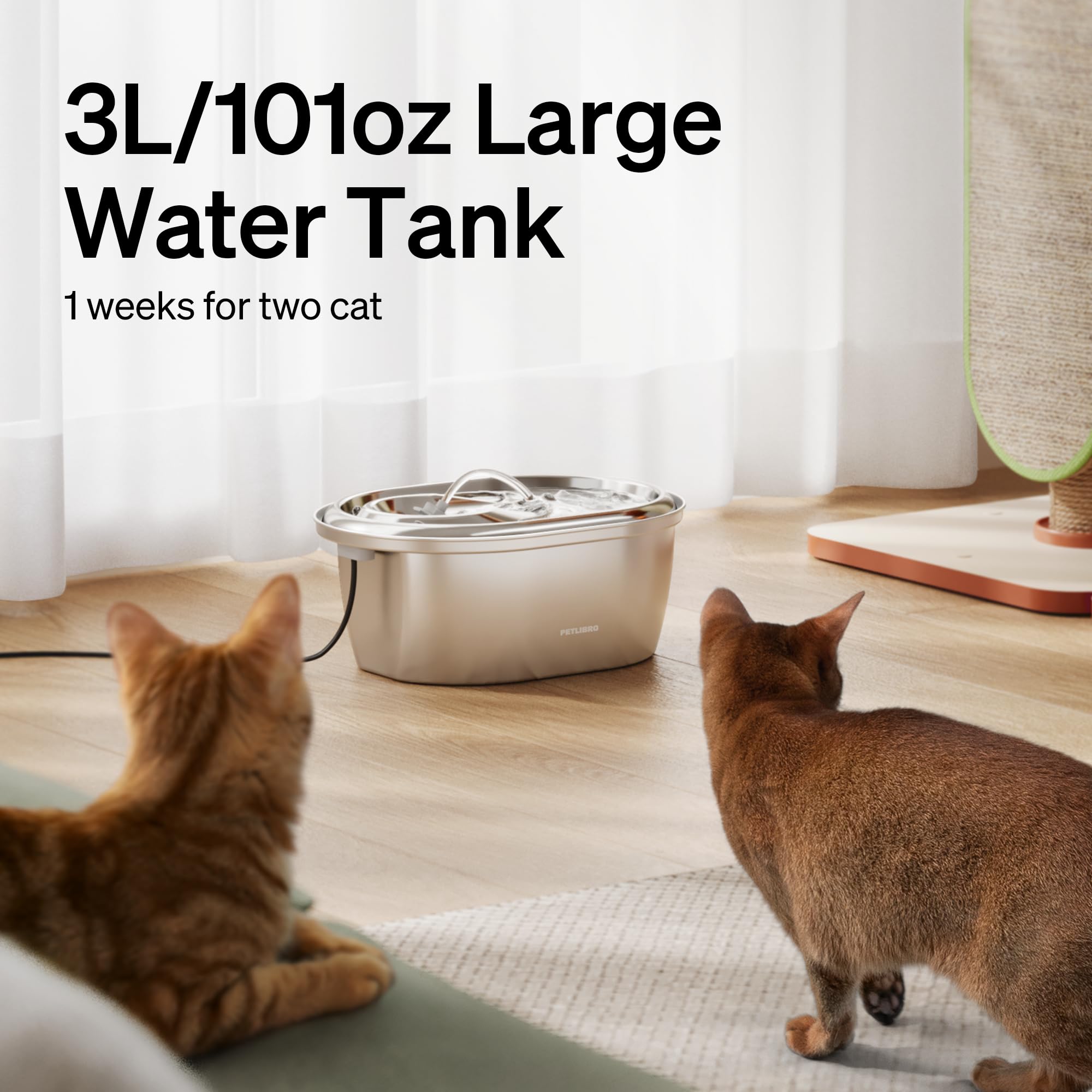 Pompe silencieuse PETLIBRO pour une eau calme près de votre animal.