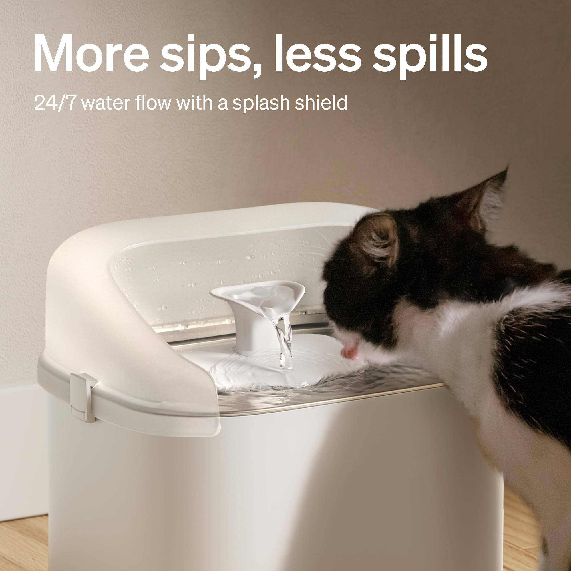 PETLIBRO protection eau Dockstream 3L, maintien propre de la zone d’alimentation.