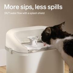PETLIBRO protection eau Dockstream 3L, maintien propre de la zone d’alimentation.