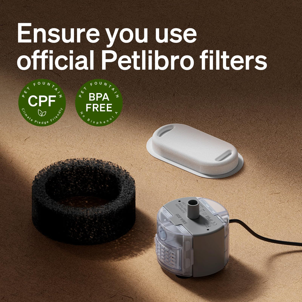 PETLIBRO utilisation quotidienne chat, eau fraîche tout au long de la journée.