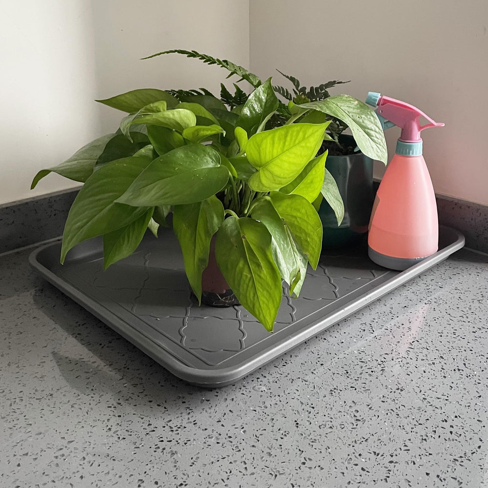 PetLike base antiglisse, stabilité sur sols mouillés