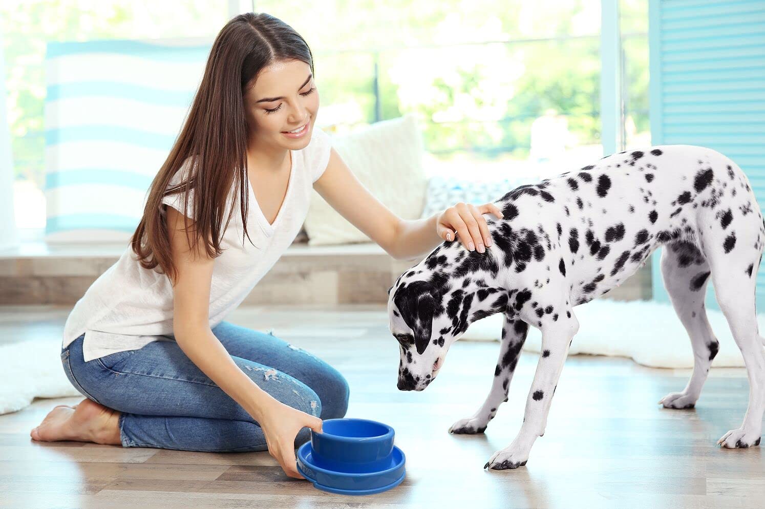 PetLike double bol nourriture et eau, pratique pour animaux.
