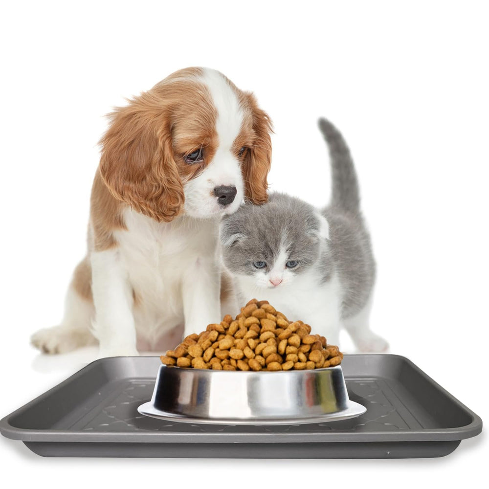 Plateau PetLike utilisé comme tapis d'alimentation pour animaux de compagnie.