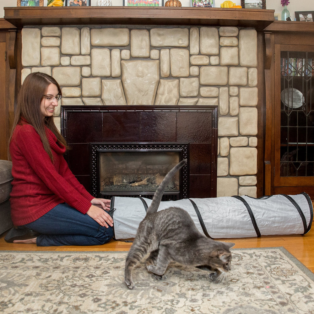 PetLike Tunnel Chat ouvertures doubles, double curiosité et exploration.