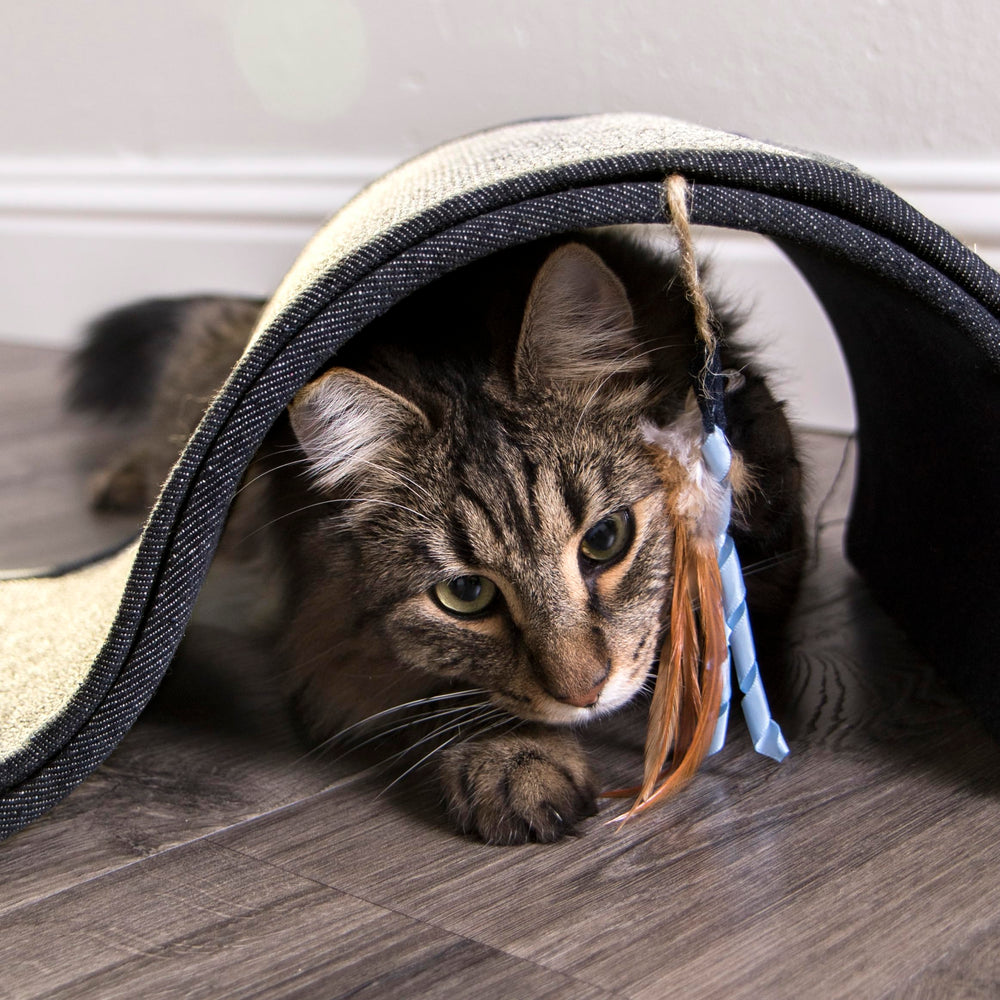 Petlinks Dream Curl: lounge et cachette pour observation et repos calme.