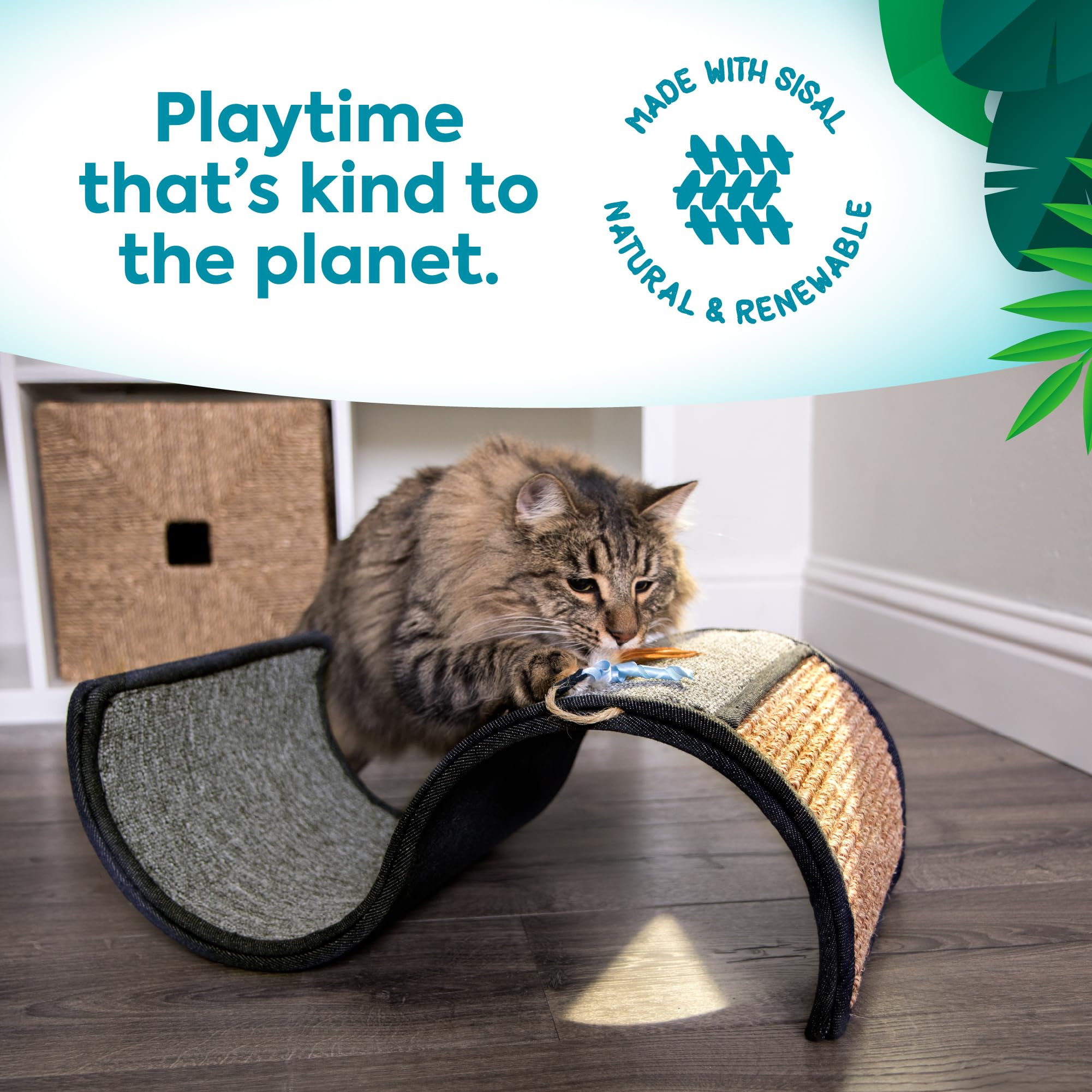 Petlinks Dream Curl: niche-repos intégrée, parfait pour une pause détente.