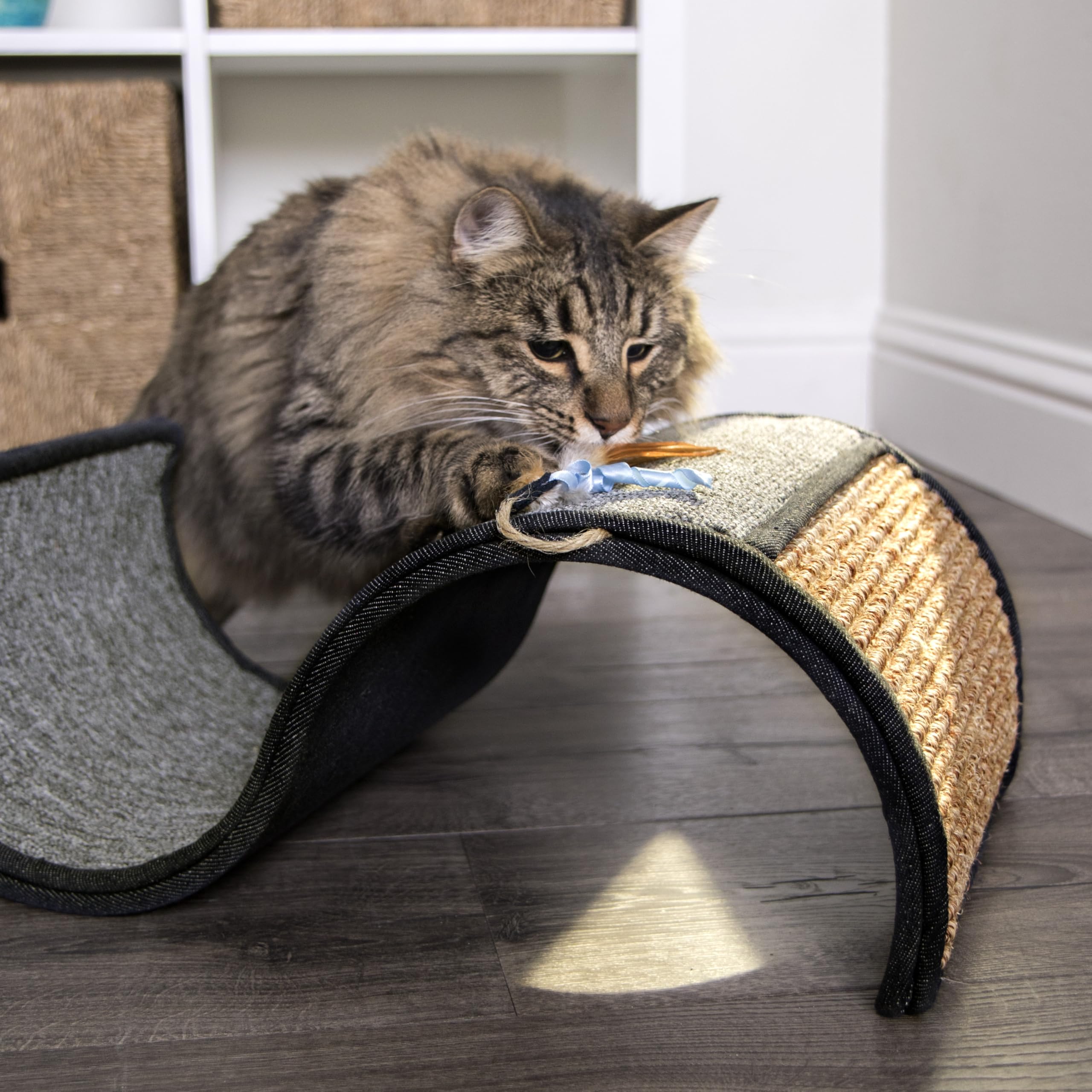 Petlinks Dream Curl: jouet catnip suspendu pour attiser la curiosité.