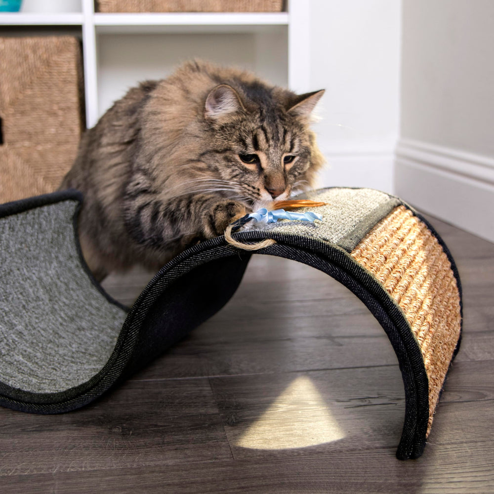 Petlinks Dream Curl: jouet catnip suspendu pour attiser la curiosité.