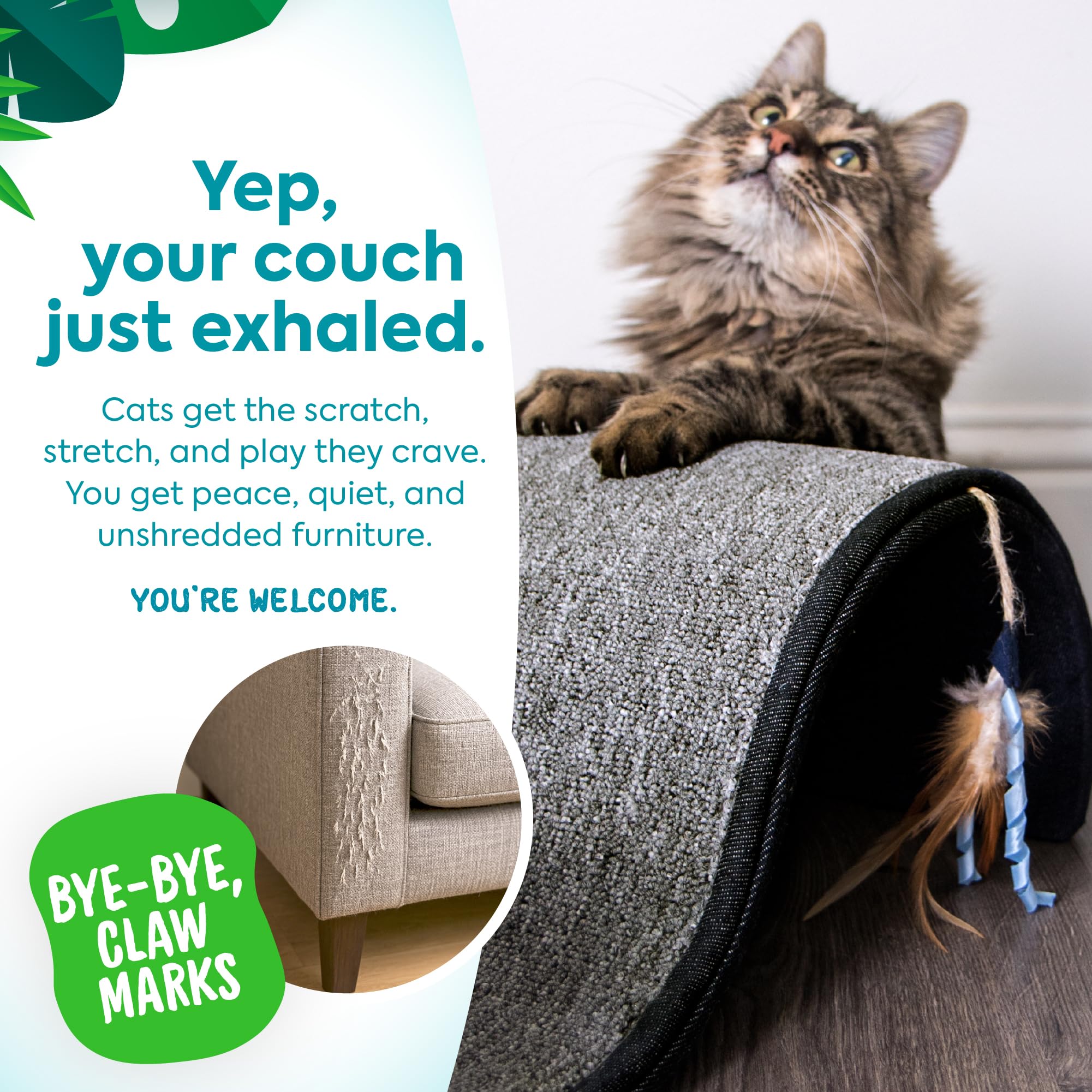 Petlinks Dream Curl: rampe ondulée qui invite au repos et à l'étirement.