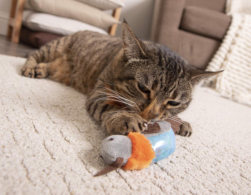 Flutter Singer : plume naturelle et texture douce pour chat.