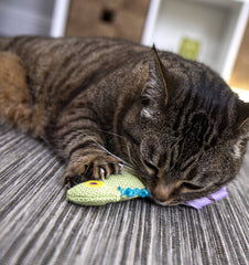 Rubans brillants sur le jouet Petlinks HappyNip Crinkle Chameleon stimulent l’instinct de chasse.