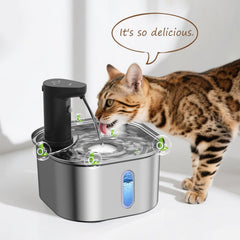 Petlipo système de filtration amélioré : couches supplémentaires pour eau plus claire