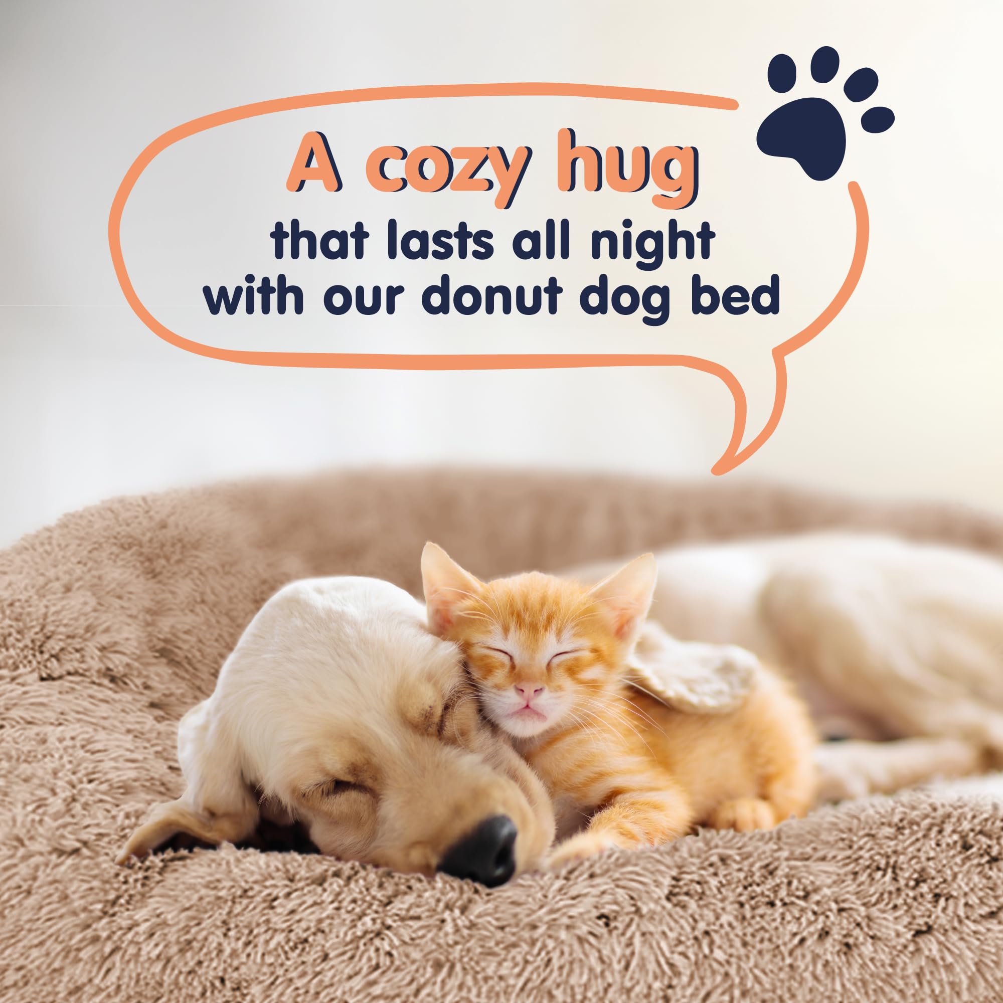 Lit beignet Petloox pour chien, support ultra moelleux pour des repos privilégies.