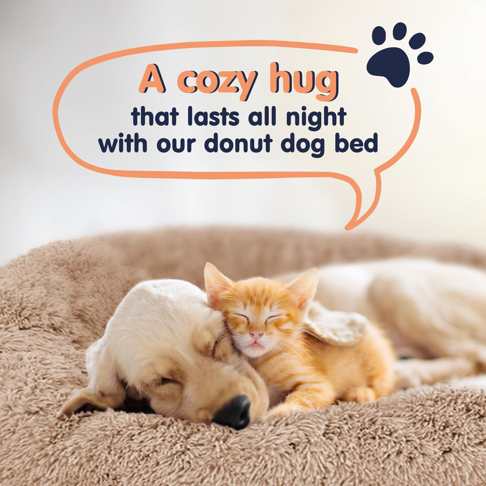 Lit beignet Petloox pour chien, support ultra moelleux pour des repos privilégies.