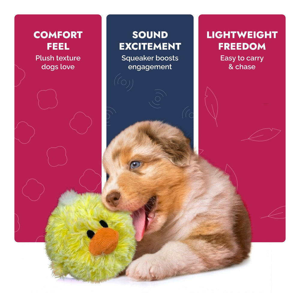 Dogz Pet Lou sans rembourrage, pratique et léger pour les sessions.
