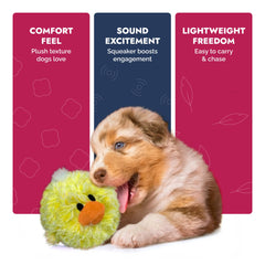Dogz Pet Lou sans rembourrage, pratique et léger pour les sessions.