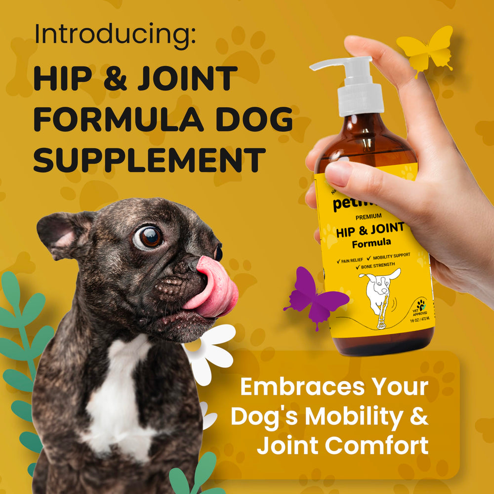 PETMADE Extrait de pépins de raisin en poudre, soutien antioxydant pour chiens