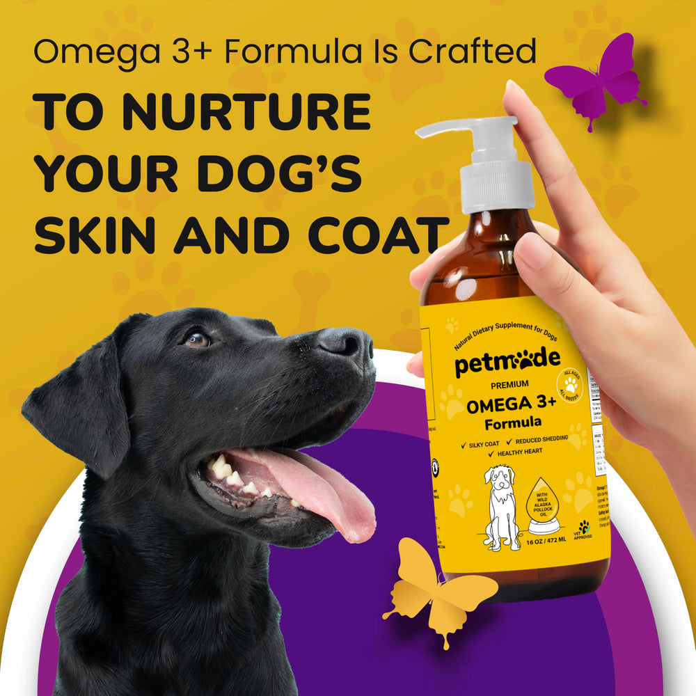 PetMade huile de poisson pollock alaskien — riche en EPA et DHA pour les chiens.