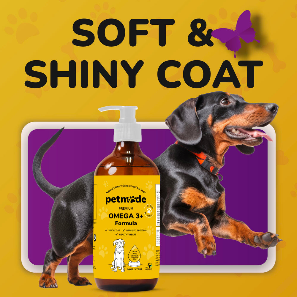 PetMade huile de poisson pollock alaskien — biotine et vitamine E pour le soin du pelage.