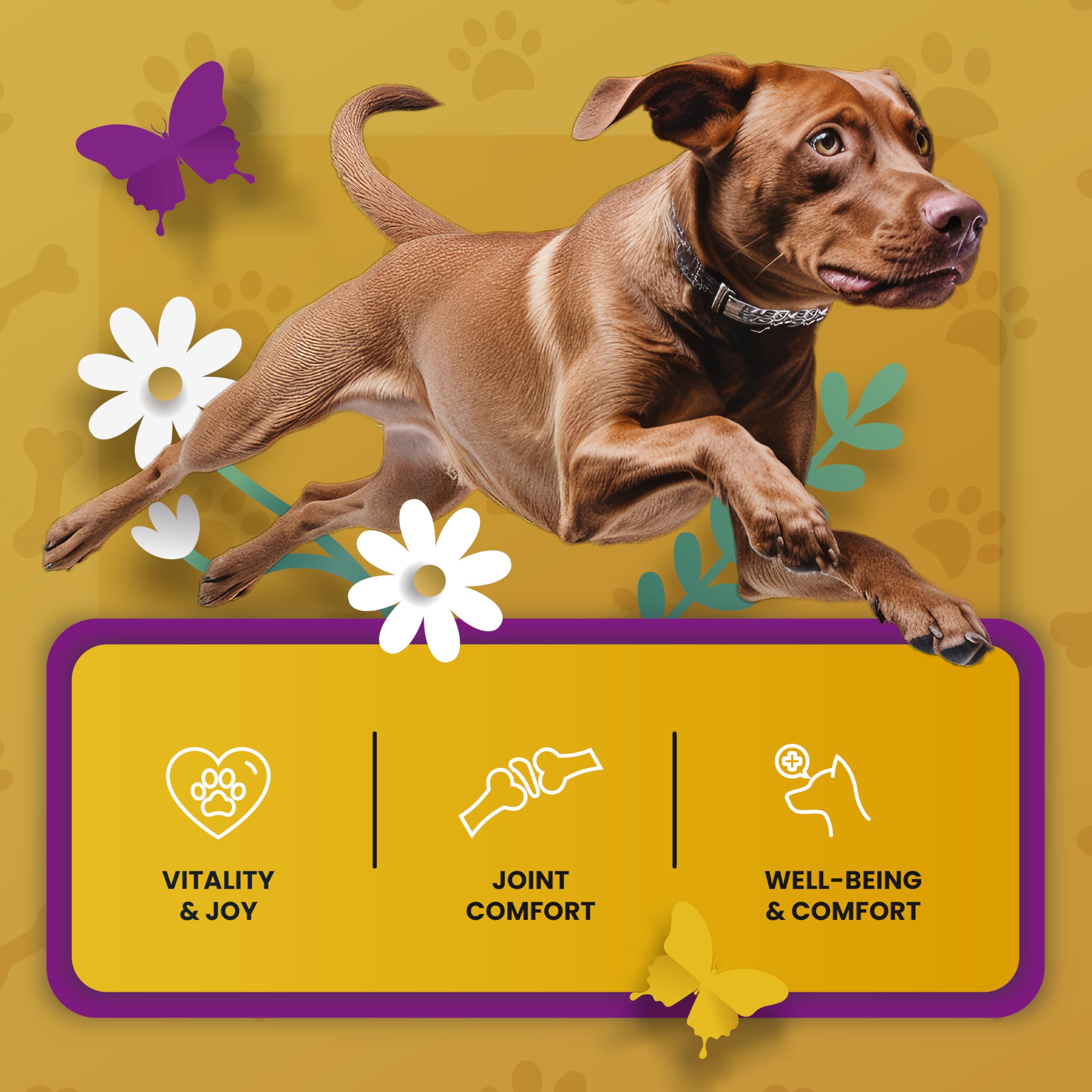 PETMADE Production USA avec ingrédients locaux et importés