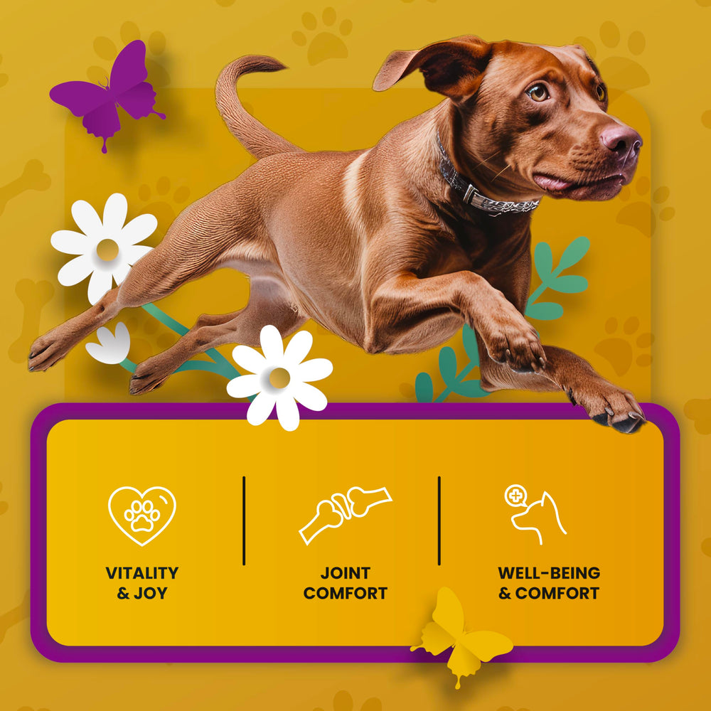 PETMADE Production USA avec ingrédients locaux et importés