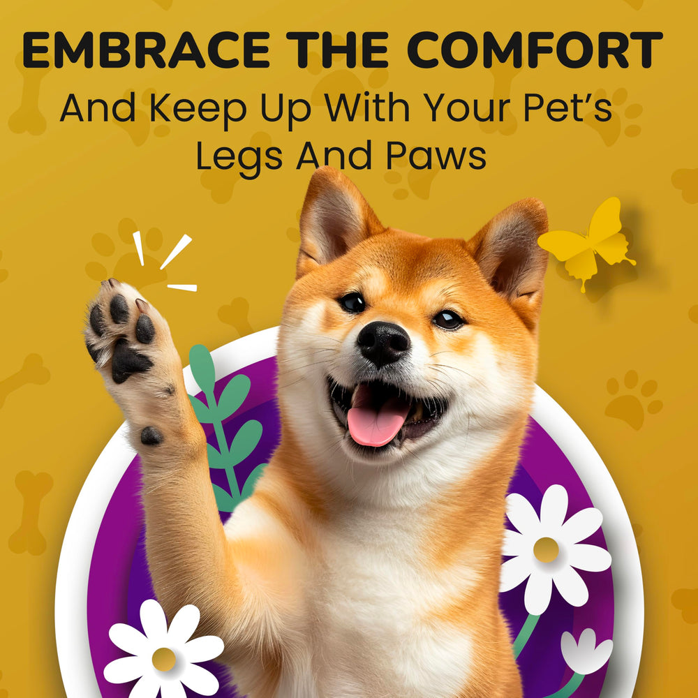 PETMADE Soutien mobilité et confort pour chiens actifs au quotidien
