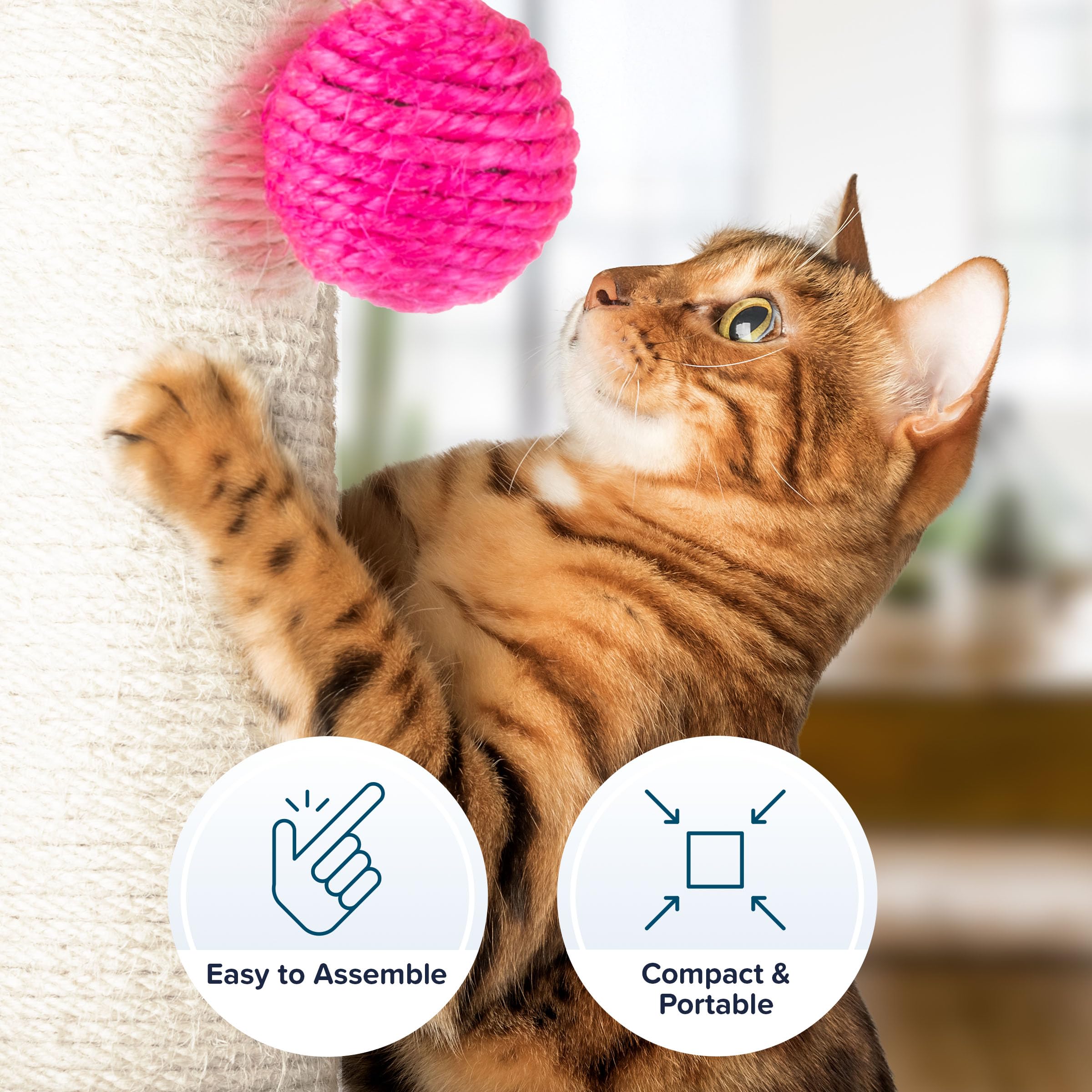 Balle suspendue rose attire le chat et stimule l'interaction.
