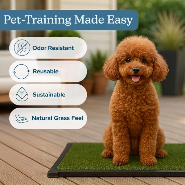 PETMAKER Texture gazon artificiel détail confort et réalisme pour chien.