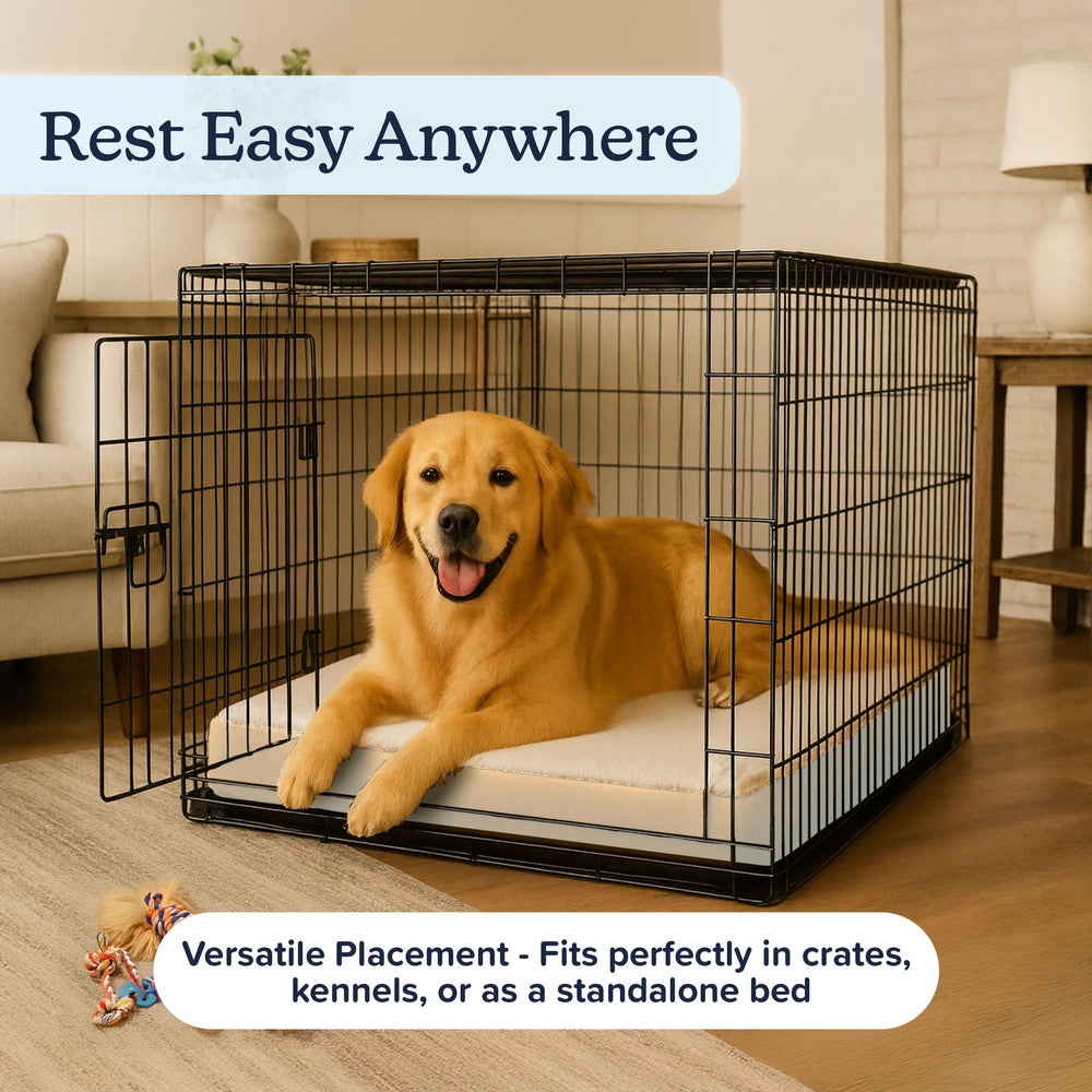 Dimensions 36x27 pouces du lit chien orthopédique PETMAKER en tan