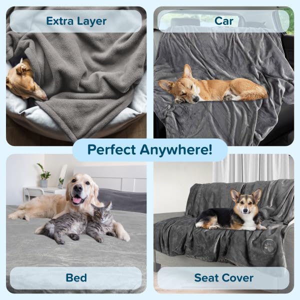 PETMAKER Dimensions-60x50-pouces gris grande surface pour animaux