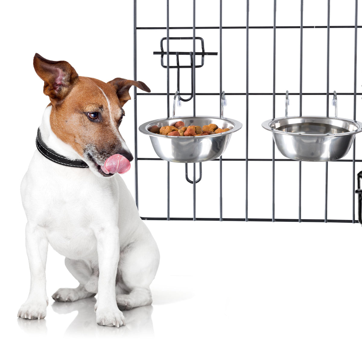 Ensemble PETMAKER de bols pour chien en acier inoxydable, durable.