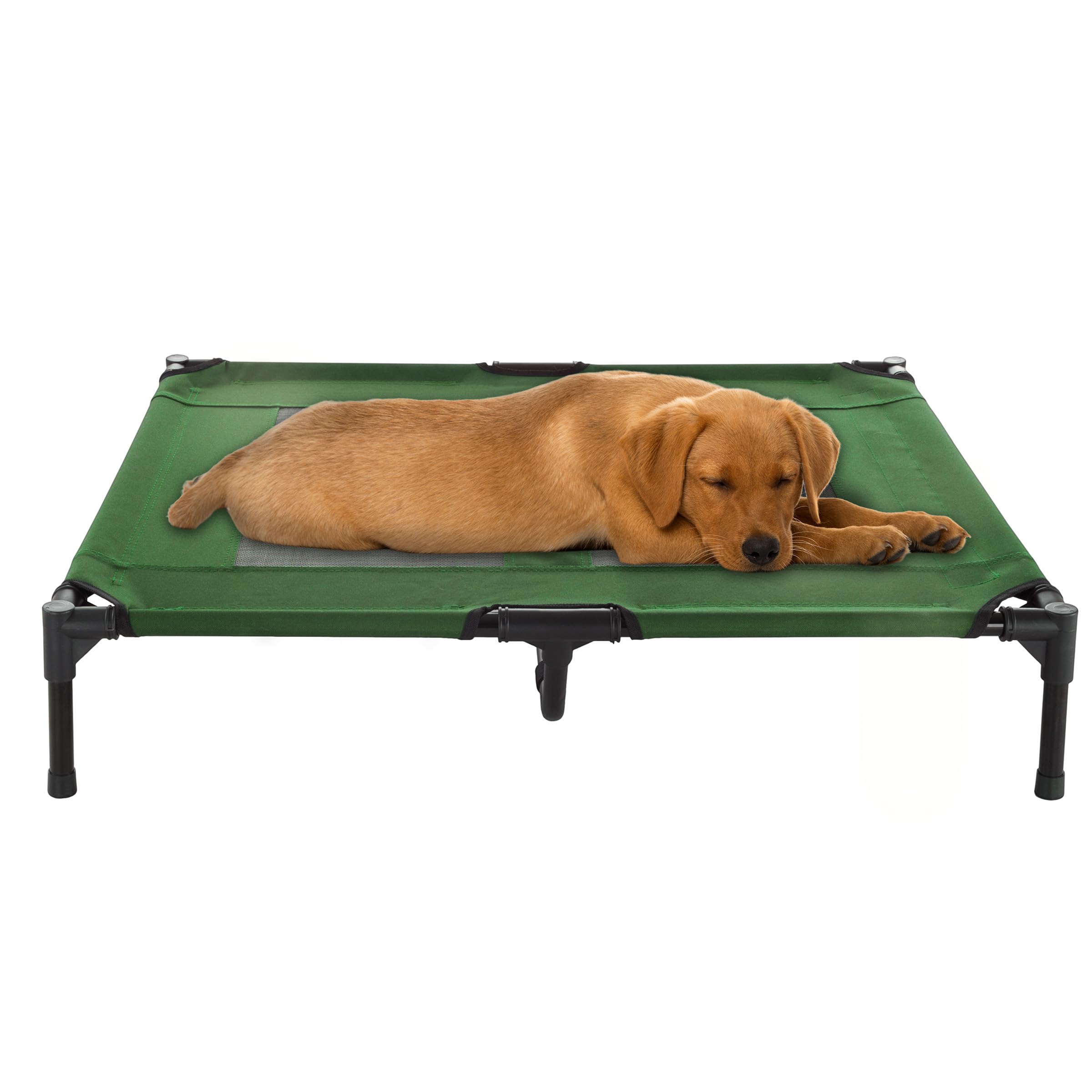 Lit chien surélevé Petmaker 36x29,75 cm offrant ventilation et confort.