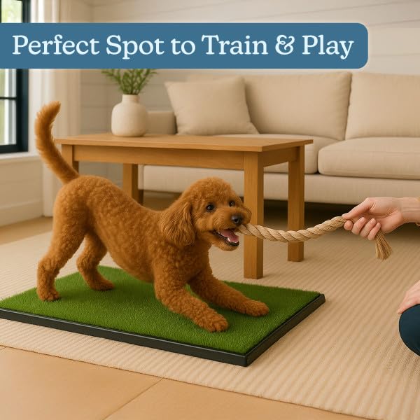 PETMAKER Nettoyage rapide par rinçage avec savon.