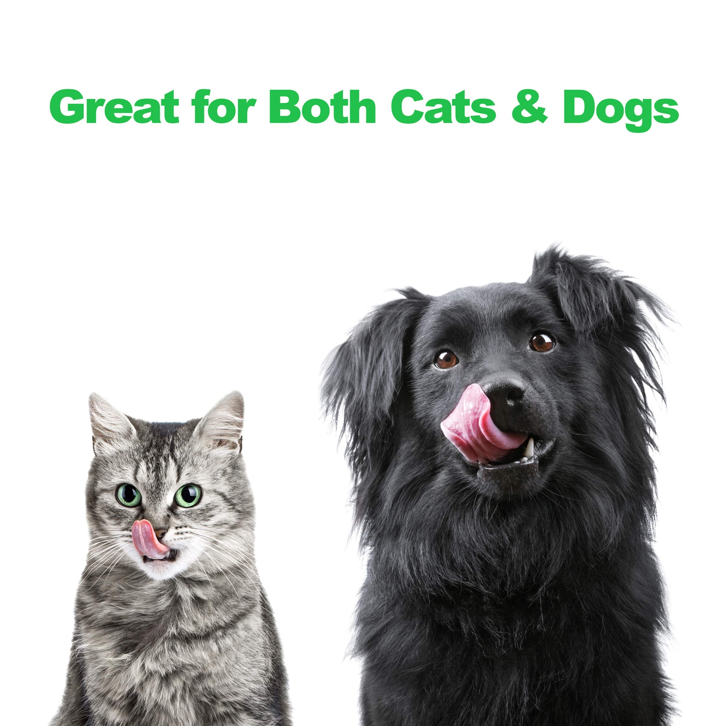 PETMAKER: station d'alimentation avec bols amovibles, nettoyage facilité.
