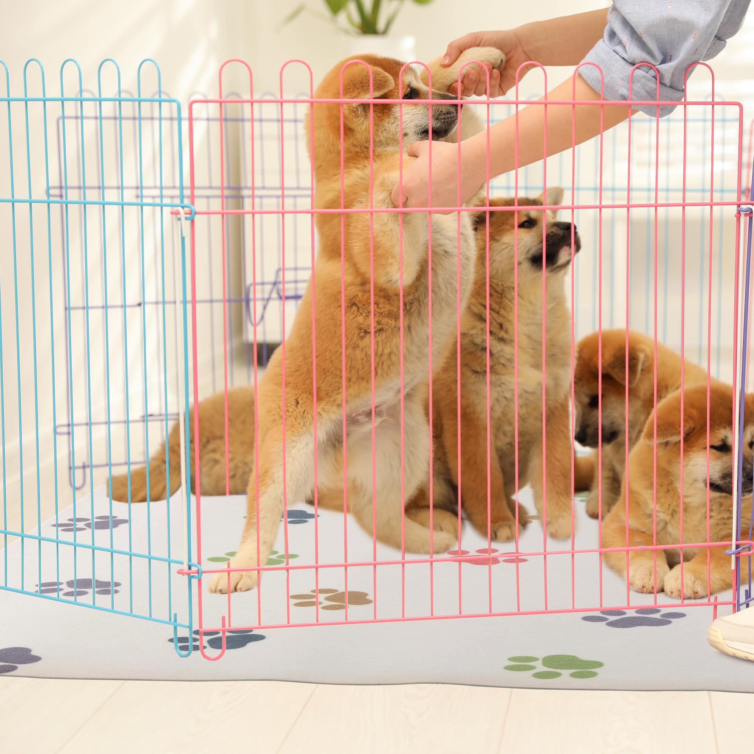 Tapis PETMAKER 55x28: compatible avec une caisse pour chien et chat.