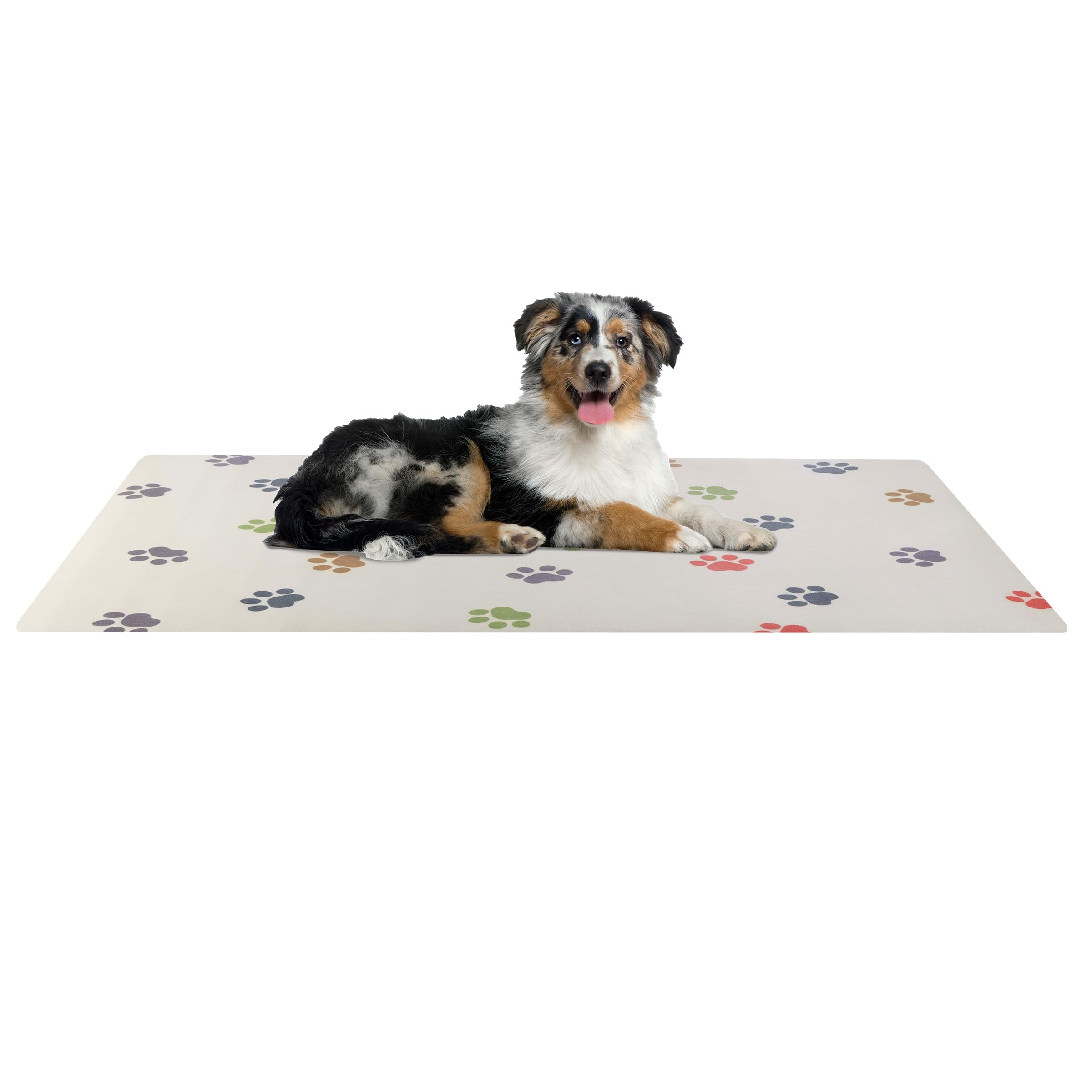 Tapis PETMAKER pour chien utilisé comme zone nourriture et eau, taille généreuse et pratique.