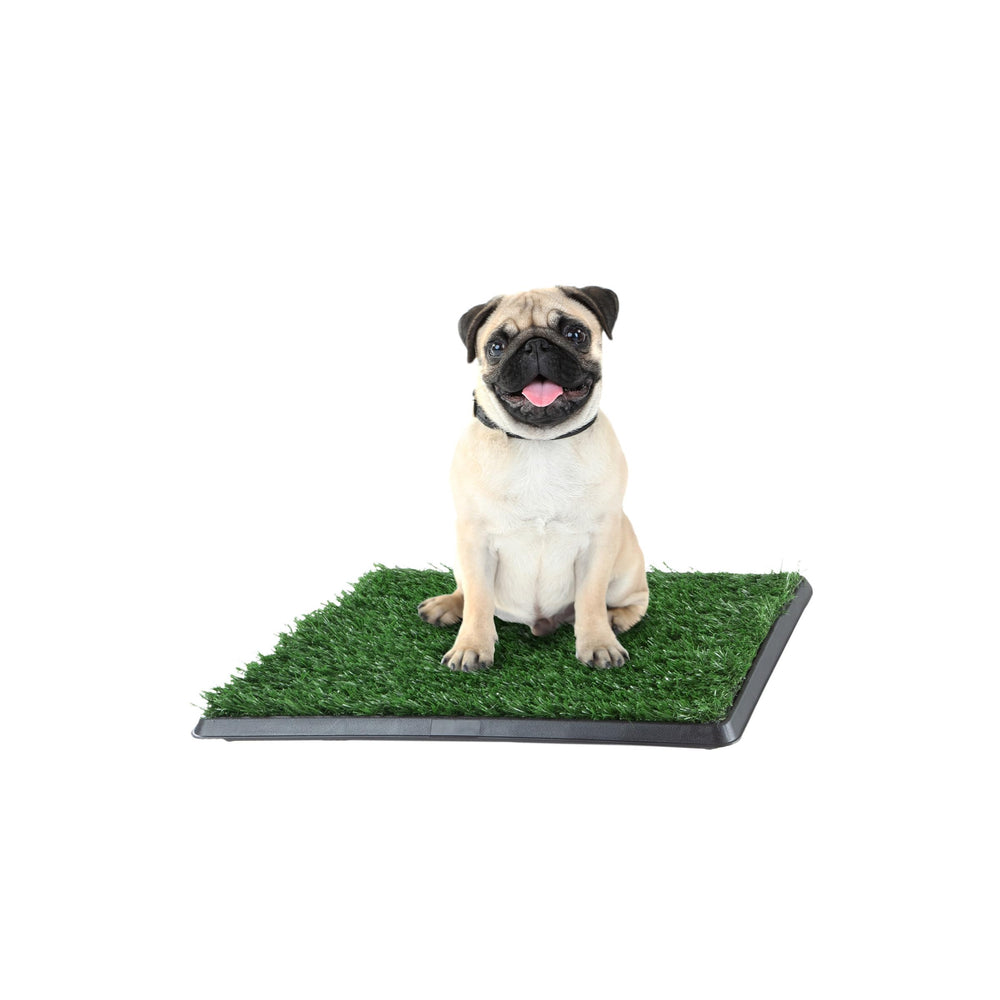 PETMAKER Tapis gazon artificiel 16x20 offrant une zone propre pour faire pipi.