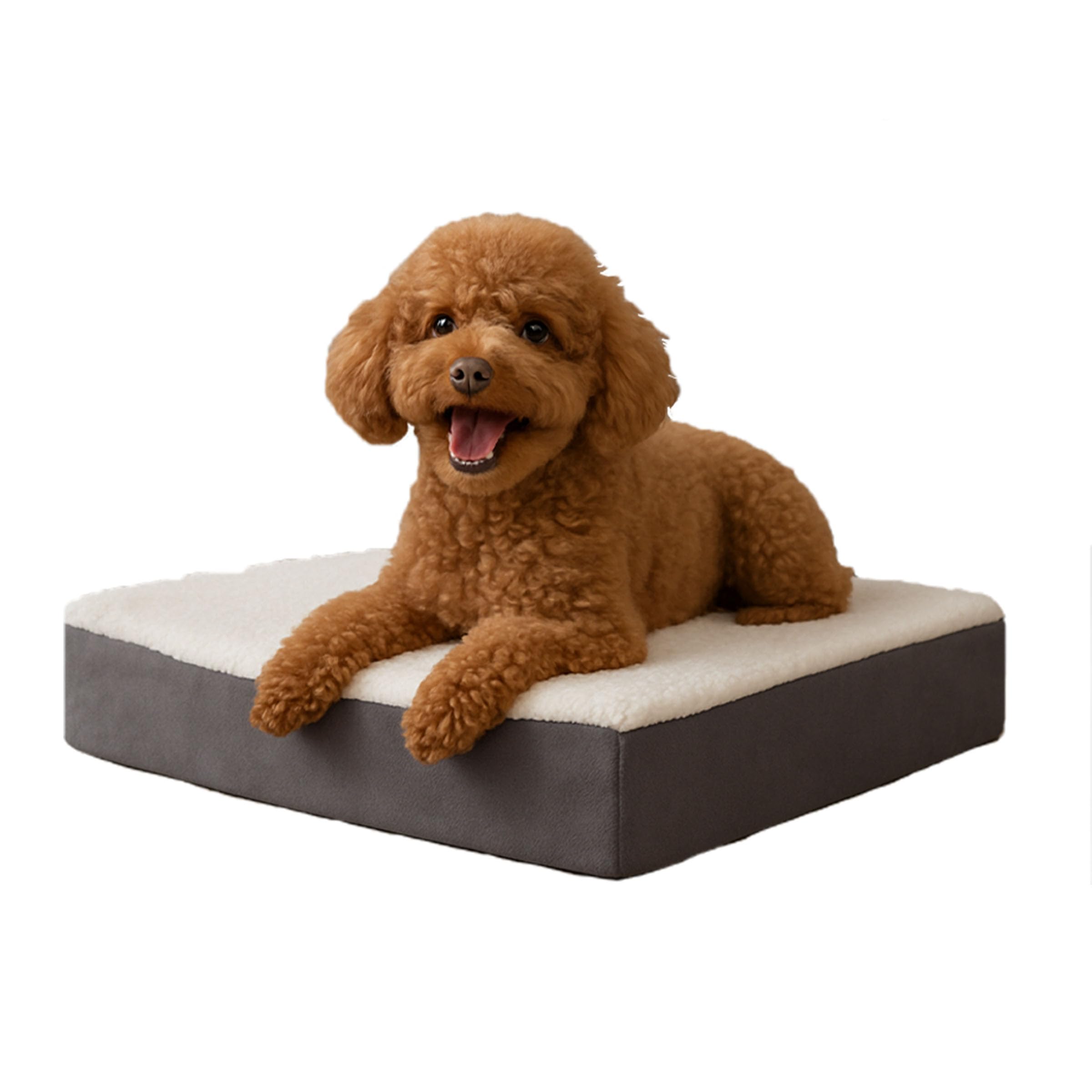PETMAKER tapis orthopédique pour chien en mémoire de forme 20x15 gris offrant un soutien durable