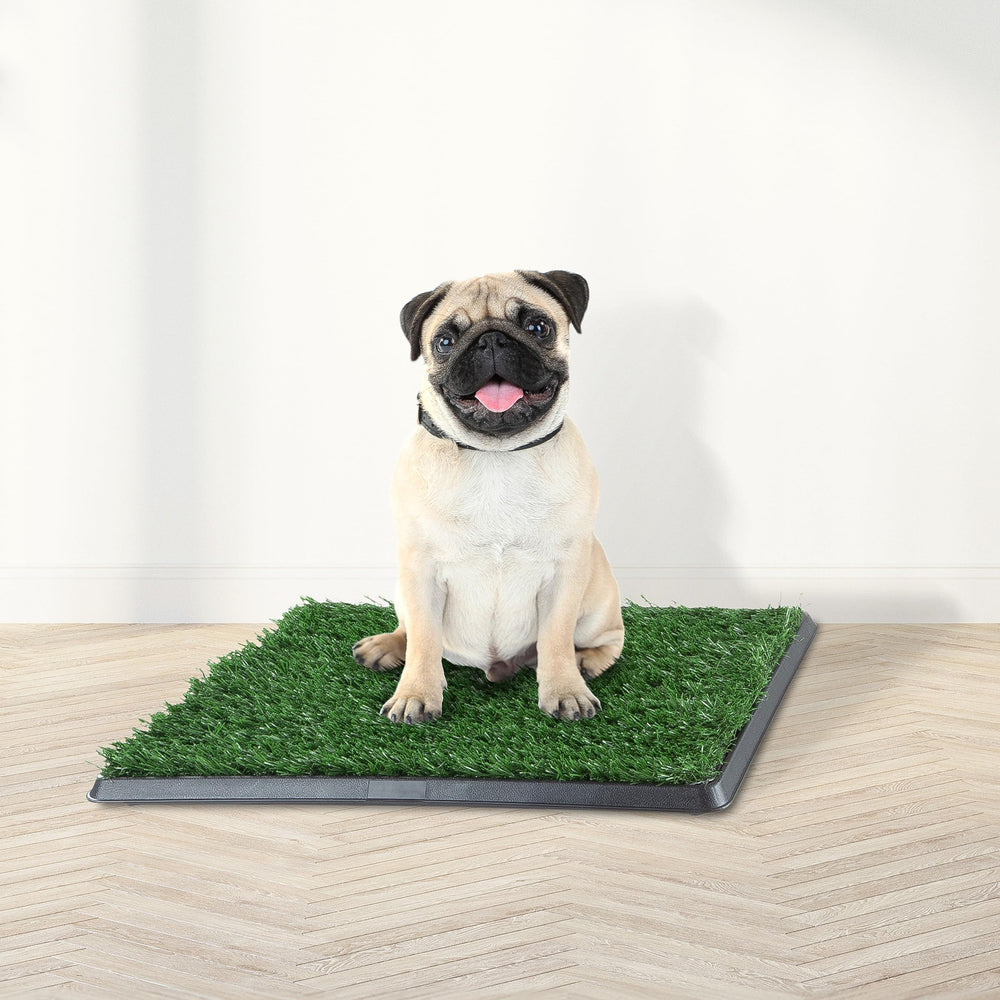 PETMAKER Tapis-pipi chiot gazon artificiel bac-drainage, capte rapidement les liquides.