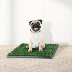 PETMAKER Tapis-pipi chiot gazon artificiel bac-drainage, capte rapidement les liquides.
