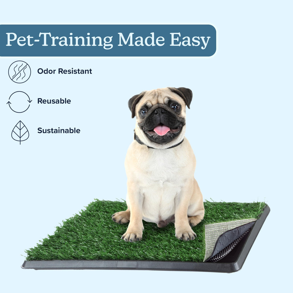 PETMAKER Tapis-pipi gazon artificiel dimensions 16x20, parfait pour petits espaces.