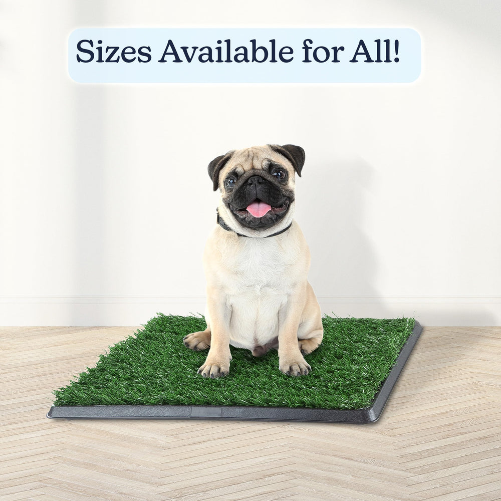 PETMAKER Tapis-pipi gazon artificiel, nettoyage rapide grâce à ses couches lavables.
