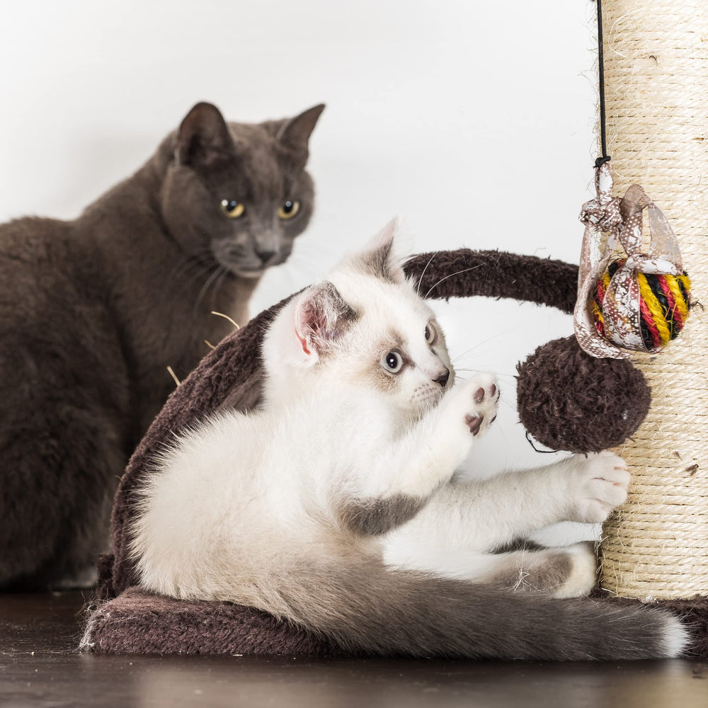 PETMAKER Tour d'Observation de 31 pouces: espace vertical pour l'observation.