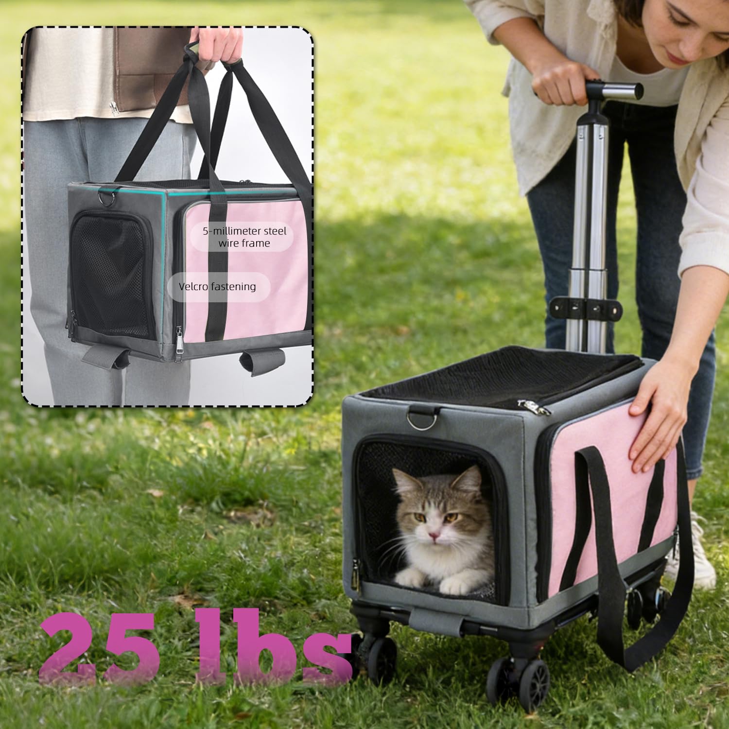 Intérieur spacieux et confortable du porte-animaux Petmarket.