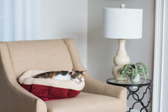 Lit rond auto-chauffant Petmate Aspen Pet en velours côtelé marine-crème, idéal pour siestes confortables en voyage.