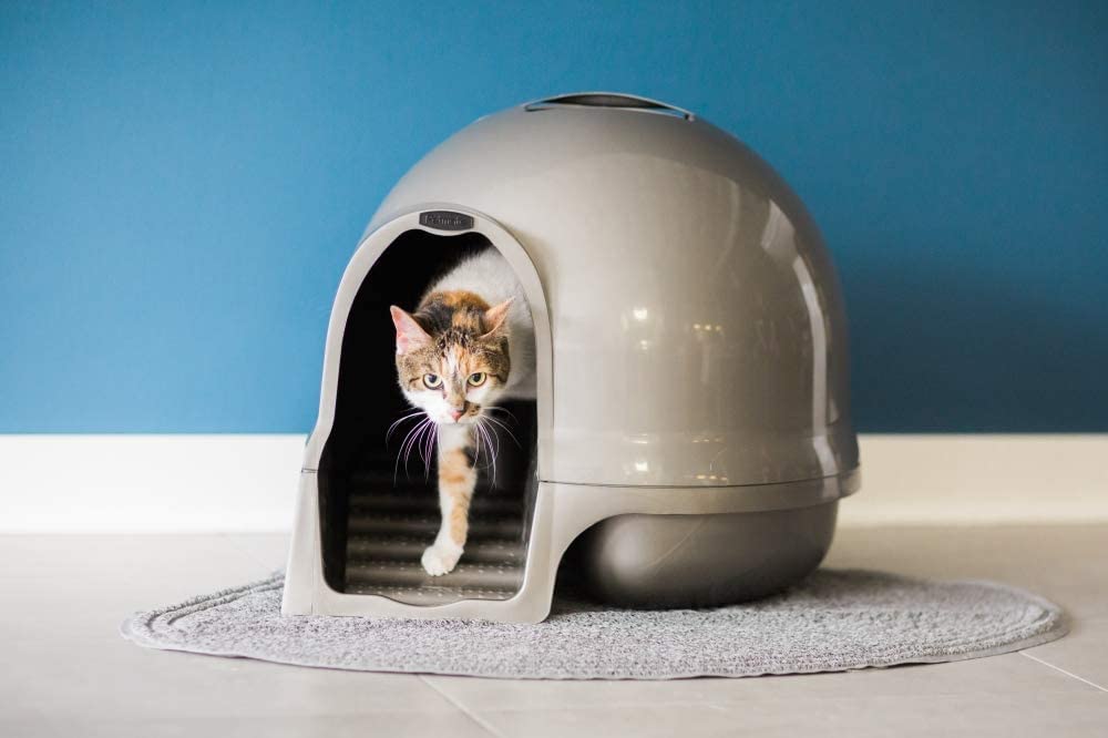 Poignée intégrée du Booda Clean Step Dome pour nettoyer et transporter facilement.