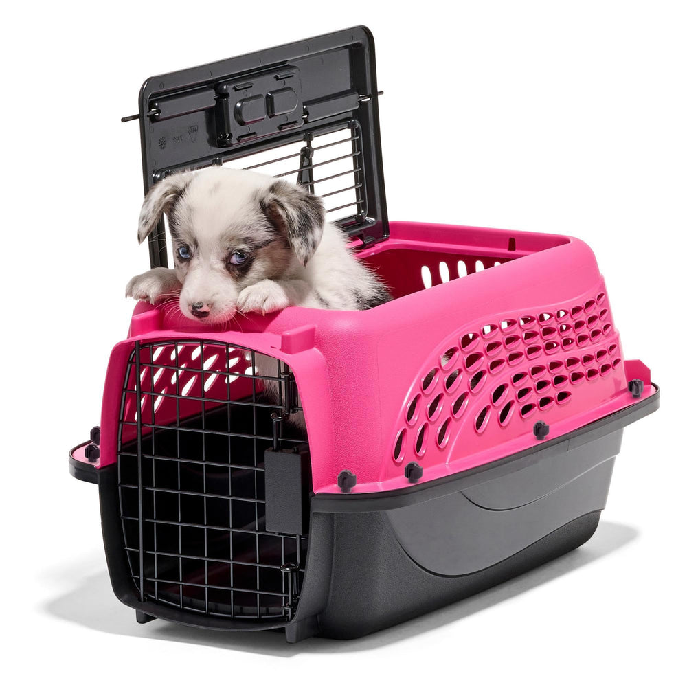 Petmate cage petit chien avec porte avant pour accès rapide et sûr.