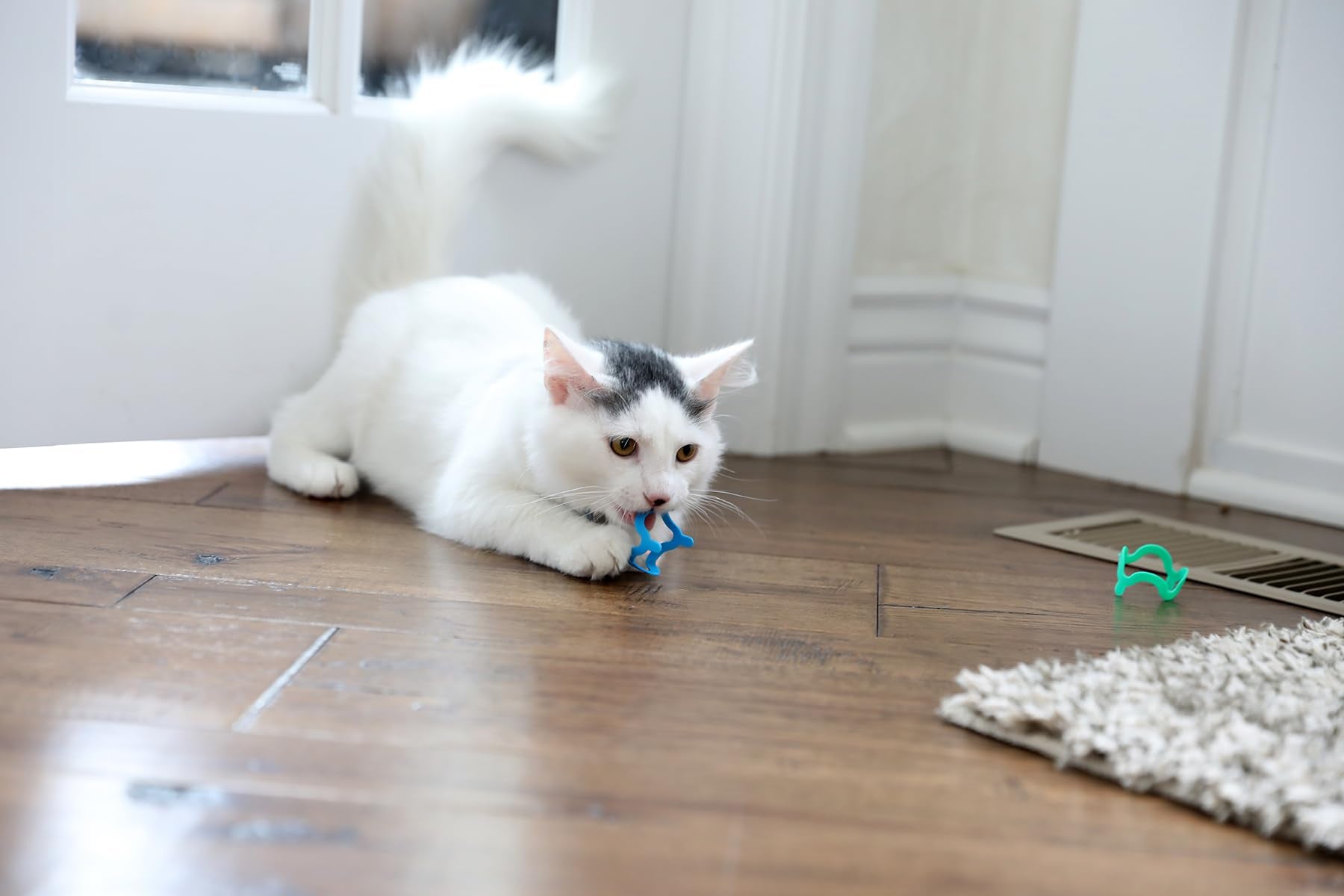Cat Crazies Petmate idéal sur sol lisse pour sessions quotidiennes.