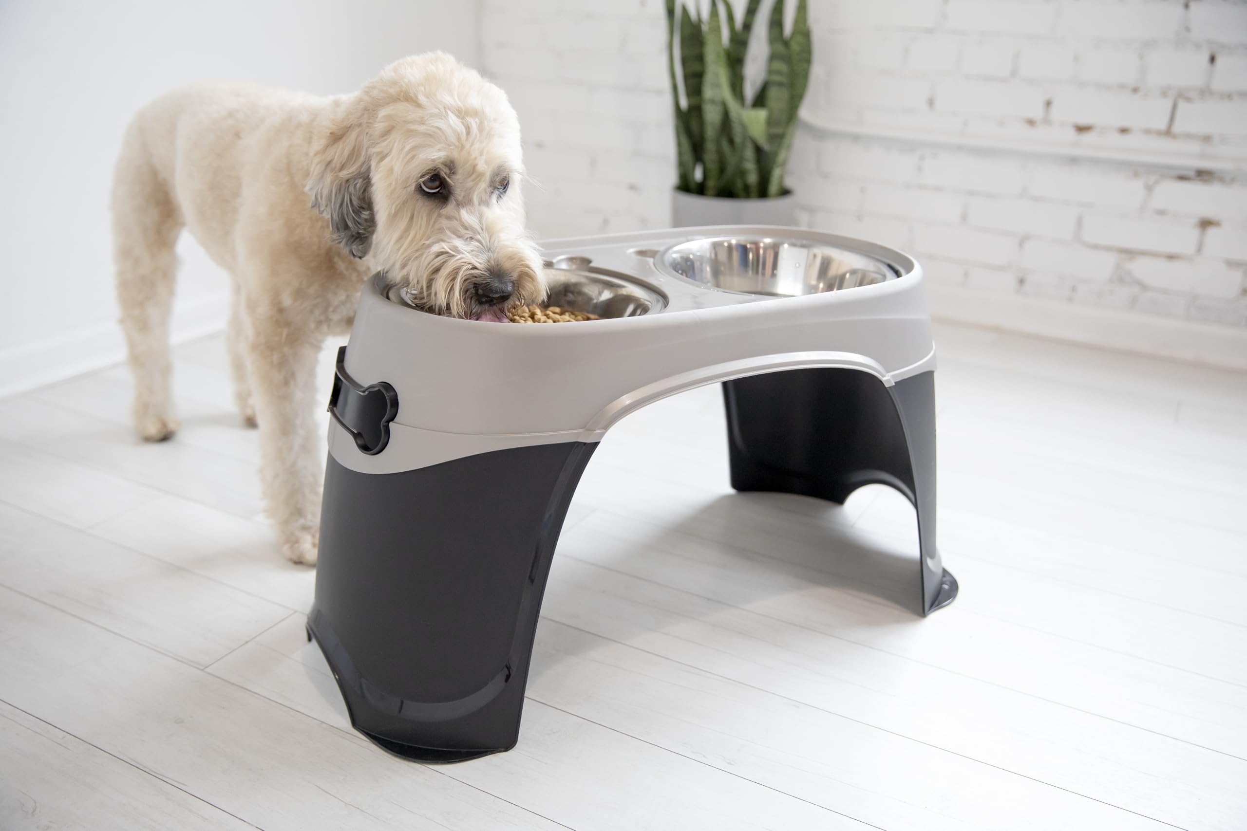 Structure robuste du support elevé Petmate Easy Reach Diner pour un usage quotidien.